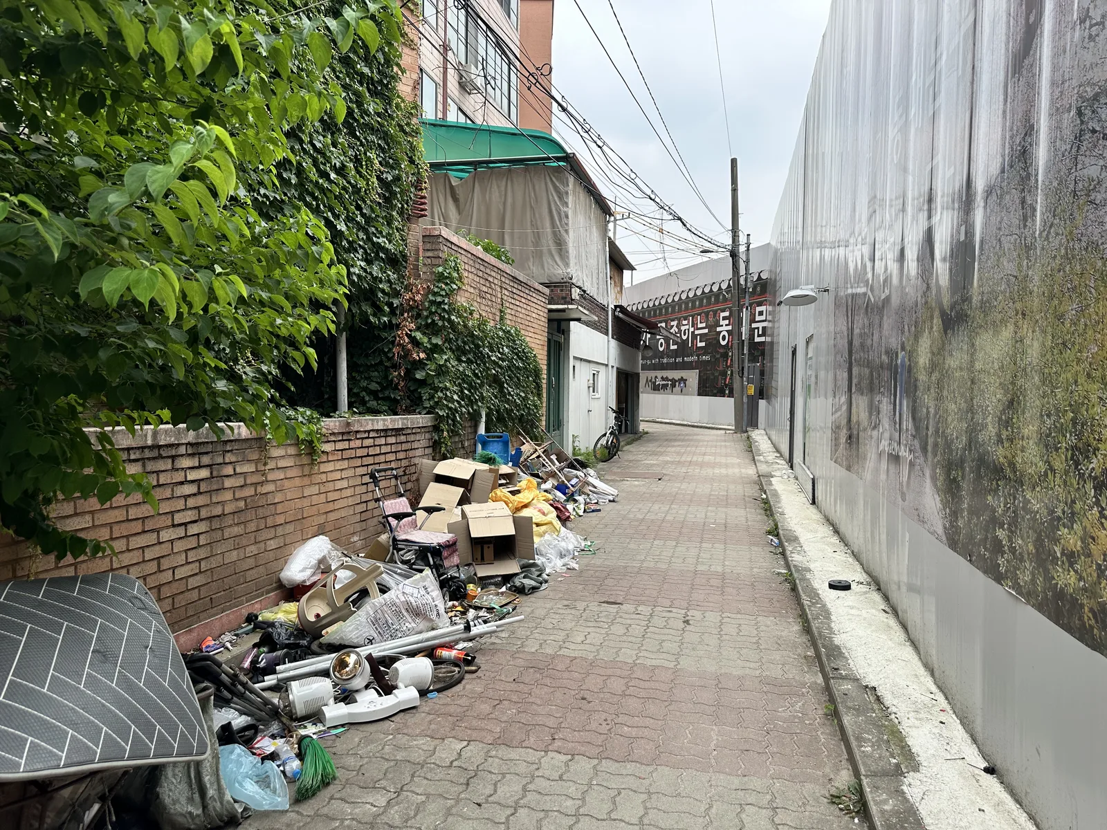현대 호러물 원본 사진